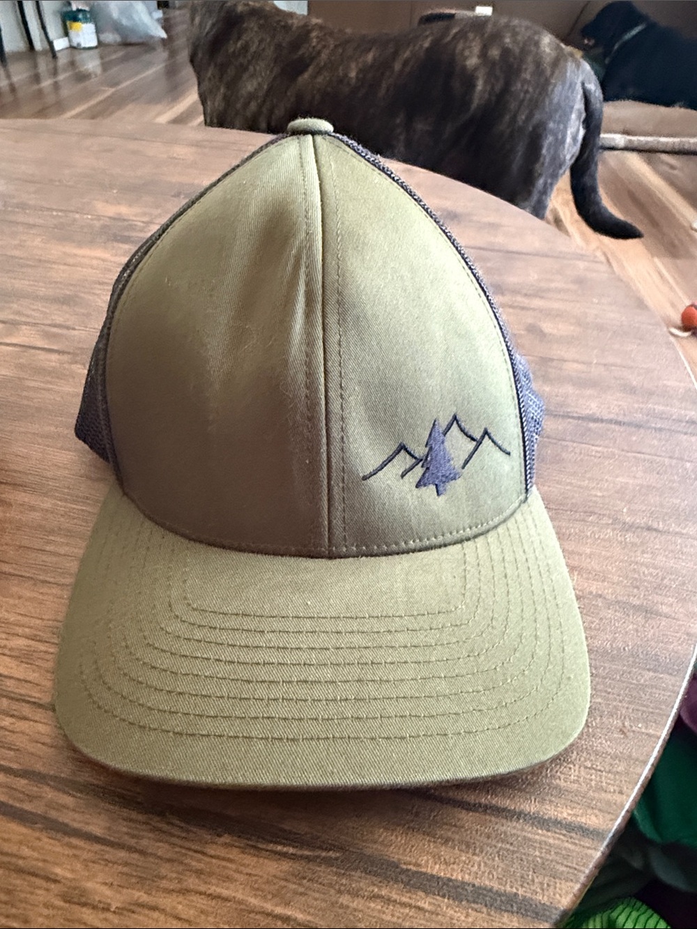 Pacifica Olive Green & Gray Mesh Trucker Hat